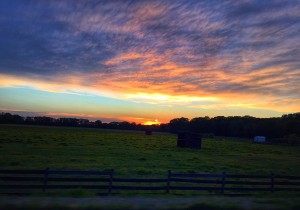 "Sunset on the Pasture"